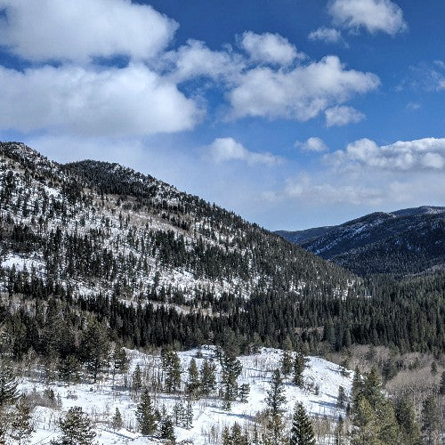 Trail Reviews: Lost Lake - Nederland, CO