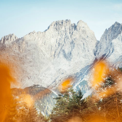 What We Can Learn from Nature