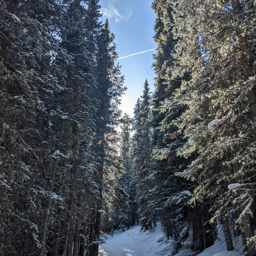 snowshoeing for the first time
