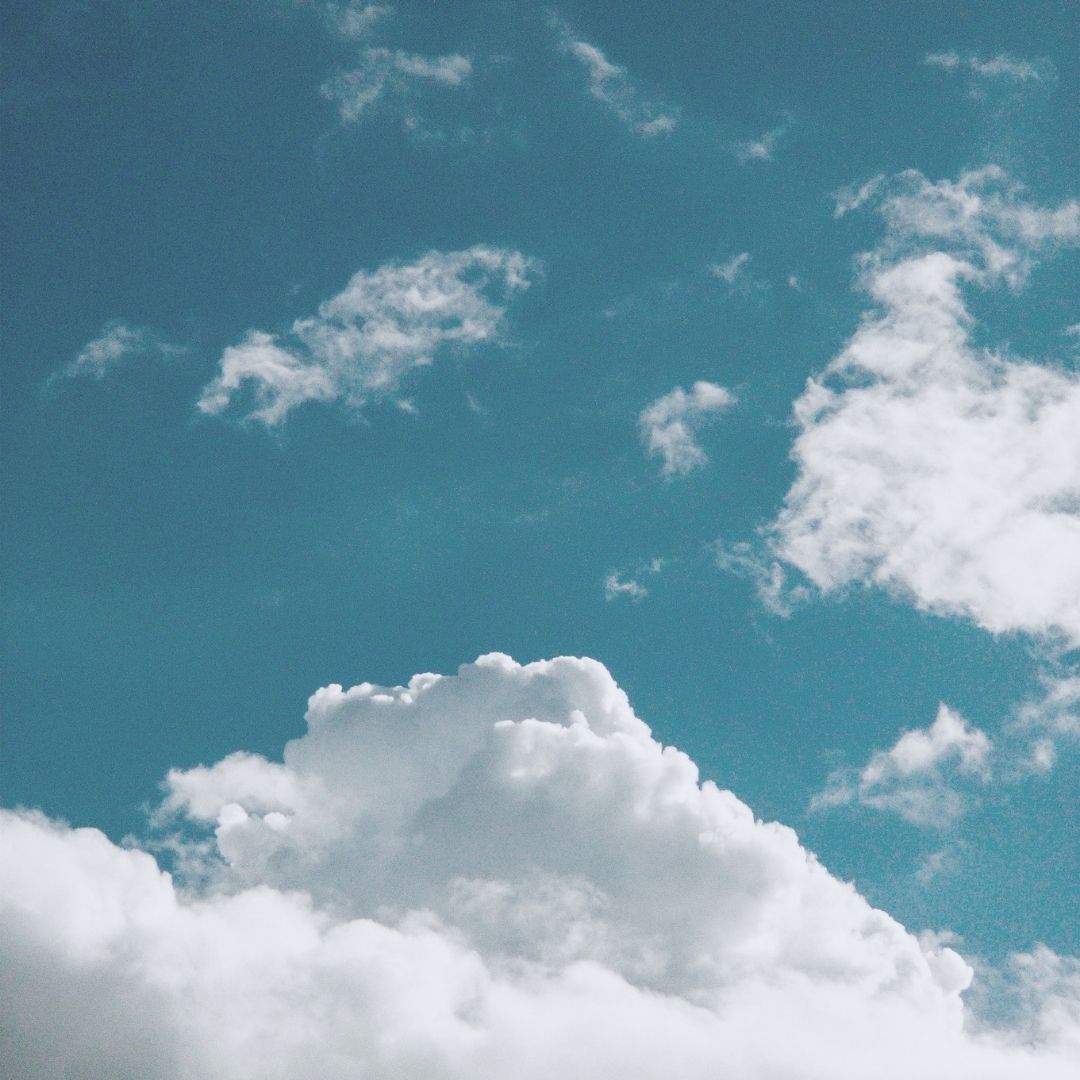 how a business offsets carbon emissions