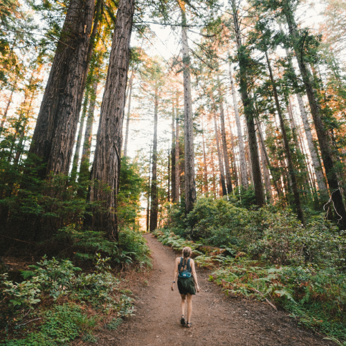 ways to reduce stress, how to relieve stress, stress-relief practices, tips to reduce stress