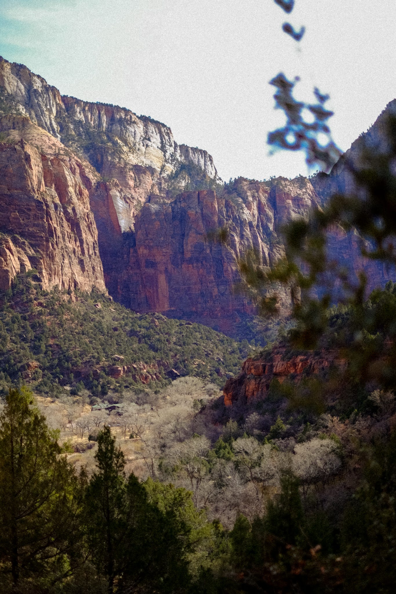 National Parks Are Under Threat: Why It Matters and How We Can Help