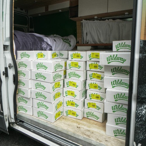 San Antonio Food Bank Donation