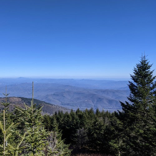 mount mitchell trail north carolina