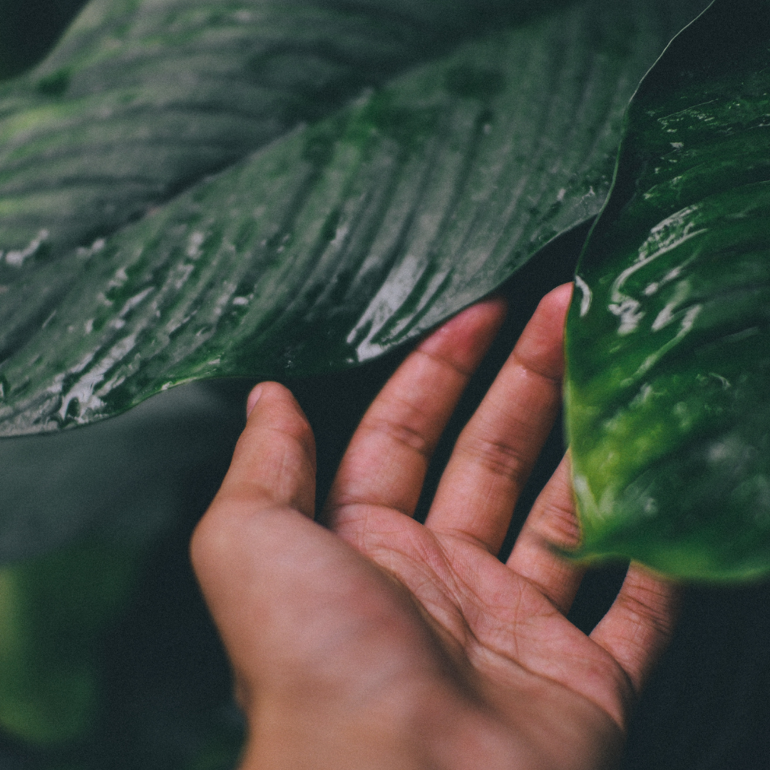 ways businesses can help the environment