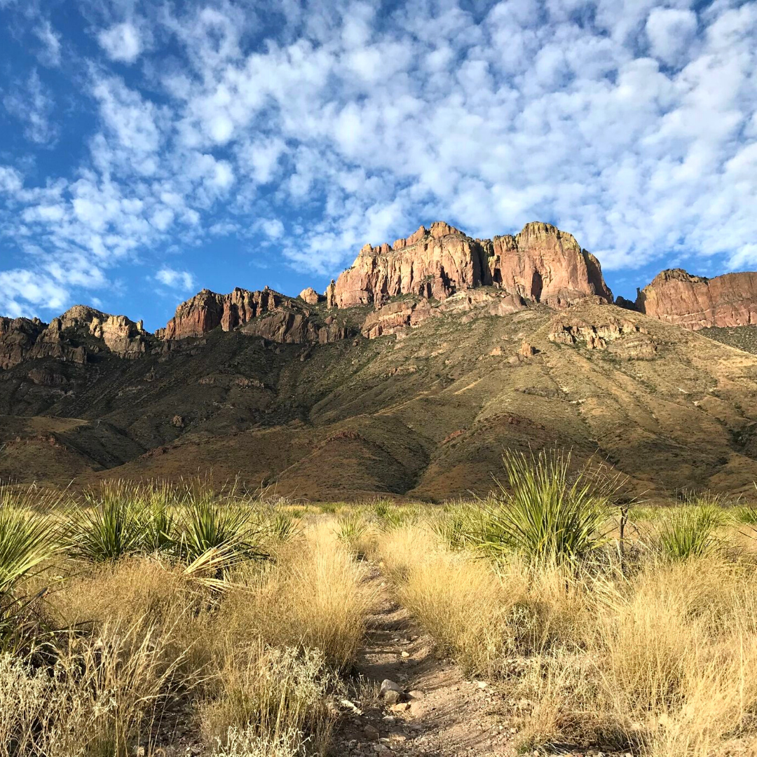 the best hikes in Texas