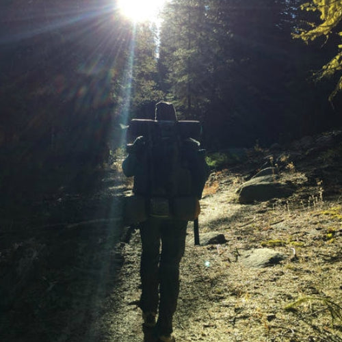 Our Wildway of Life: Yosemite (Part II)